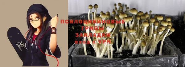 дмт Алексеевка