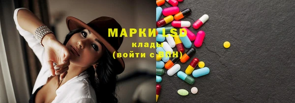 стафф Алексин