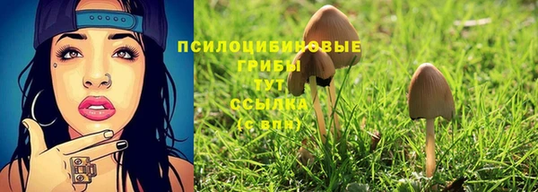 дмт Алексеевка