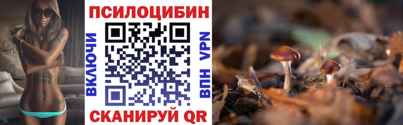 Псилоцибиновые грибы Cubensis  Алупка 
